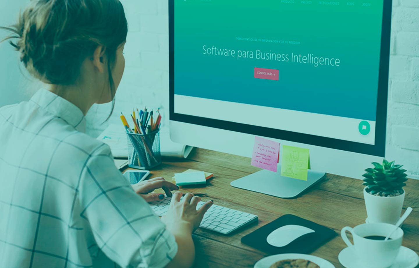 software de inteligencia de negocios